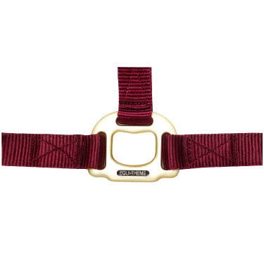 Halfter Equithème Nylon Bordeaux Halfter Equithème Nylon Bordeaux