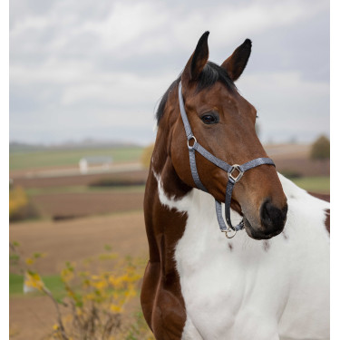 Halfter Equithème Nylon Dunkelgrau