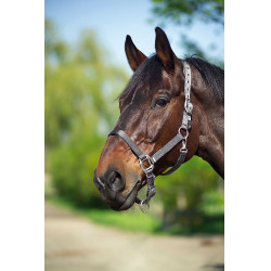 Halfter Equithème Nylon Dunkelgrau