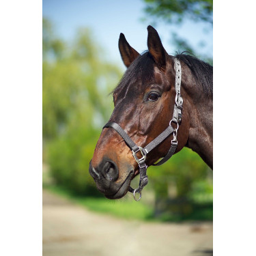 Halfter Equithème Nylon Dunkelgrau