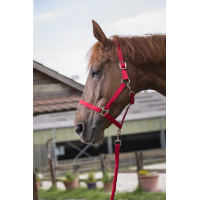 Halfter- und Führstrick-Set Club Rot