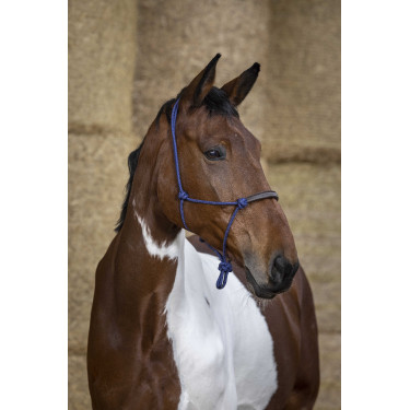 Ethologisches Halfter Norton Seil/Synthetik Königsblau Ethologisches Halfter Norton Seil/Synthetik Königsblau