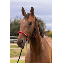 ETHOLOGISCHES HALFTER + FARBIGE STRICKLEINE Neonfuchsie Rosa