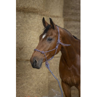 Ethologisches Halfter Norton + Führstrick Eco Schwarz / Weiß / Silber