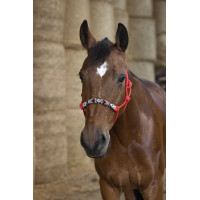 Ethologisches Halfter Norton Pearl Rot