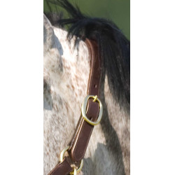 Doppelt verstellbares Halfter Excelsior Doppelt verstellbares Halfter Excelsior