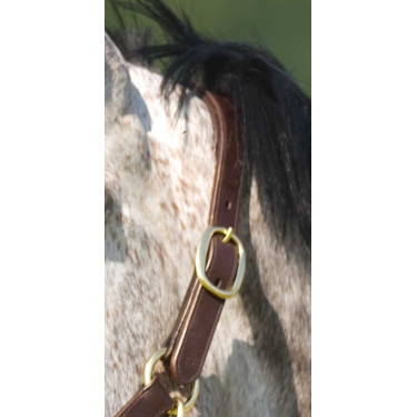 Doppelt verstellbares Halfter Excelsior Doppelt verstellbares Halfter Excelsior