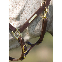 Doppelt verstellbares Halfter Excelsior Doppelt verstellbares Halfter Excelsior
