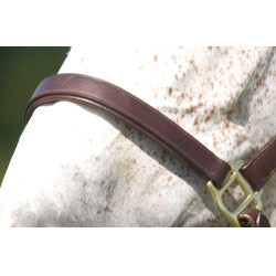 Doppelt verstellbares Halfter Excelsior Doppelt verstellbares Halfter Excelsior
