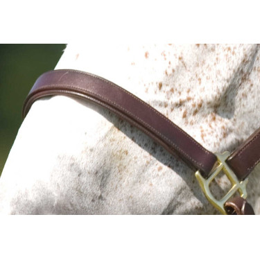 Doppelt verstellbares Halfter Excelsior Doppelt verstellbares Halfter Excelsior