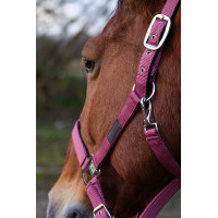 Nylonhalfter Spring Equithème Bordeaux