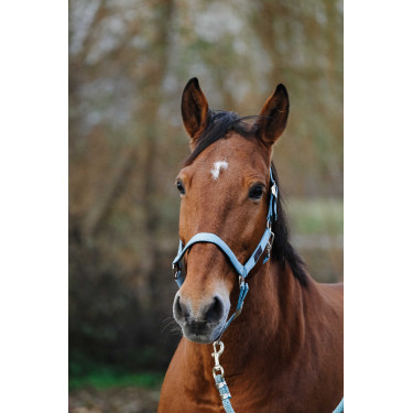 Nylonhalfter Spring Equithème Nylonhalfter Spring Equithème