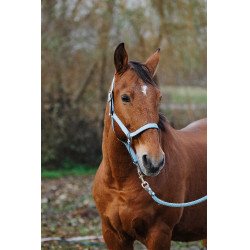 Nylonhalfter Spring Equithème Nylonhalfter Spring Equithème