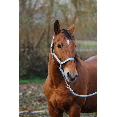 Nylonhalfter Spring Equithème Nylonhalfter Spring Equithème