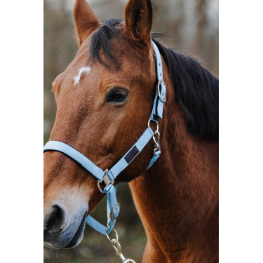 Nylonhalfter Spring Equithème Nylonhalfter Spring Equithème