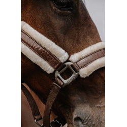 Nylonhalfter Equithème Fashion Braun