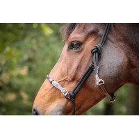 Pénélope Ethologisches Halfter Havana / Schwarz Braun