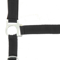 Norton Halfter aus Nylon mit Neopren unterlegt Norton Halfter aus Nylon mit Neopren unterlegt