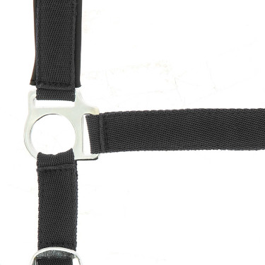 Norton Halfter aus Nylon mit Neopren unterlegt Norton Halfter aus Nylon mit Neopren unterlegt