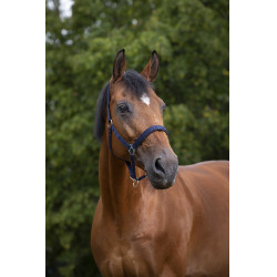 Norton Halfter aus Nylon mit Neopren unterlegt Marineblau Norton Halfter aus Nylon mit Neopren unterlegt Marineblau