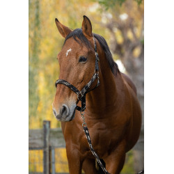 Halfter + Führstrick Equitheme Geflochten Beige / Schokolade / Schwarz
