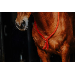 Norton-Kordel Rot Norton-Kordel Rot