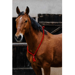 Norton-Kordel Rot Norton-Kordel Rot