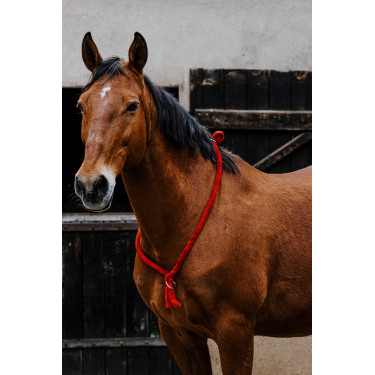 Norton-Kordel Rot Norton-Kordel Rot