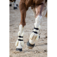 Norton XTR Gamaschen mit synthetischem Lammfell und Knöpfen Marineblau