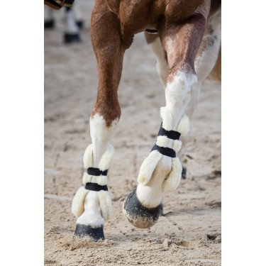 Norton XTR Gamaschen mit synthetischem Lammfell und Knöpfen Marineblau