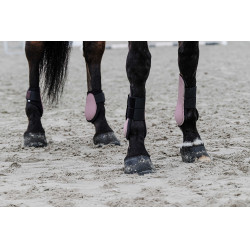 Fesselkopfgamaschen Equithème Pink Rosa