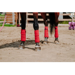 Polo-Bandagen Equithème, 4er-Set