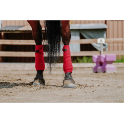 Polo-Bandagen Equithème, 4er-Set Polo-Bandagen Equithème, 4er-Set