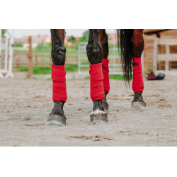 Polo-Bandagen Equithème, 4er-Set Polo-Bandagen Equithème, 4er-Set