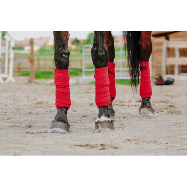 Polo-Bandagen Equithème, 4er-Set Polo-Bandagen Equithème, 4er-Set