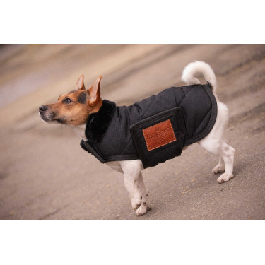 Hundedecke Diagonal Paddock Sports
