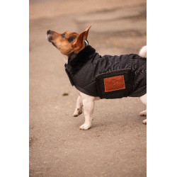 Hundedecke Diagonal Paddock Sports Schwarz
