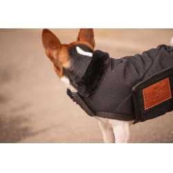 Hundedecke Diagonal Paddock Sports Schwarz