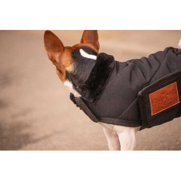 Hundedecke Diagonal Paddock Sports Schwarz