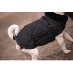 Hundedecke Diagonal Paddock Sports Schwarz
