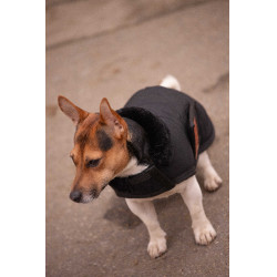 Hundedecke Diagonal Paddock Sports Schwarz