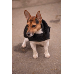 Hundedecke Diagonal Paddock Sports Schwarz