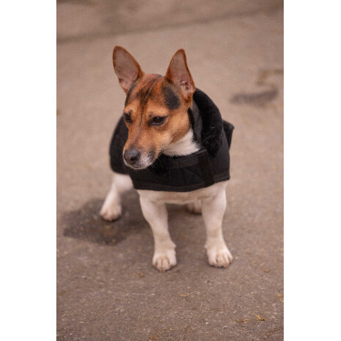 Hundedecke Diagonal Paddock Sports Schwarz