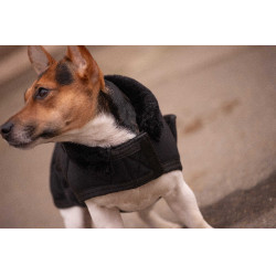 Hundedecke Diagonal Paddock Sports Schwarz
