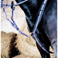 Brustblatt Biotack T de T Lindgrün Grün Brustblatt Biotack T de T Lindgrün Grün