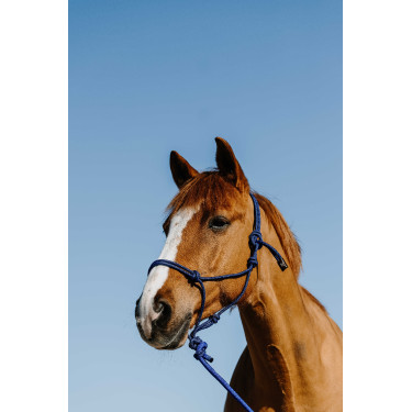 Knotenhalfter + Führstrick Norton Duo Blau / Schwarz Knotenhalfter + Führstrick Norton Duo Blau / Schwarz