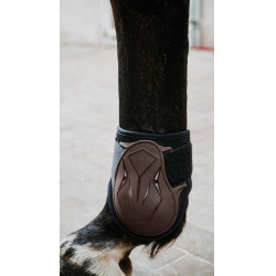 Streichkappen Norton XTR Flex Braun Streichkappen Norton XTR Flex Braun