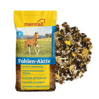 Fohlen-Aktiv Marstall 20 kg