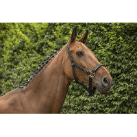 Halfter + Führstrick Lami-Cell Classical Marineblau Halfter + Führstrick Lami-Cell Classical Marineblau