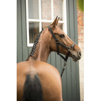 Halfter + Führstrick Lami-Cell Classical Marineblau Halfter + Führstrick Lami-Cell Classical Marineblau